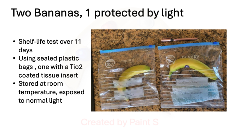 Bananas protected by light . No etilene